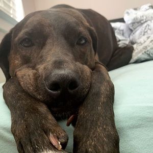 Meet your Posher, Bethany